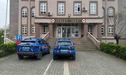 Zonguldak'ta süs bitkisi bahçesinde uyuşturucu özellikli kaktüs ele geçirildi