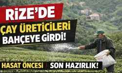 Çayda Büyük Geri Sayım! Üretici Sezona Kilitlendi