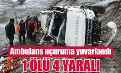 Artvin'de hasta taşıyan ambulans uçuruma yuvarlandı: 1 ölü, 4 yaralı