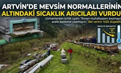 Arıcılıkta "Yalancı Bahar" Krizi