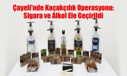 Çayeli'nde Kaçakçılık Operasyonu