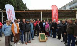 500 bin ata tohumundan üretilen fideler toprakla buluşuyor