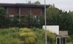 Aç kalan domuz sürüsü, gündüz şehir merkezine indi