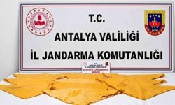 Alanya'da 1 kilo uyuşturucu madde ele geçirildi
