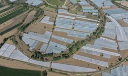 Amasya Valiliği açıkladı: Taşkınlardan 5 bin 850 dekar tarım alanı zarar gördü