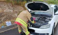 Arsuz'da otomobilin motoruna giren kediler kurtarıldı