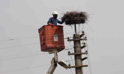 Atıl malzemelerden can dostlara güvenli yuvalar