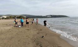 Aydın ve Ege'de deniz sezonu başladı