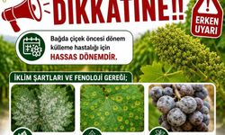 Bağlarda üreticilere ilaçlama uyarısı