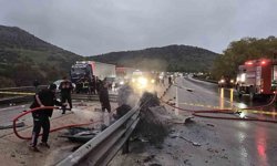 Bariyerlere çarparak yanan otomobilin sürücüsü feci şekilde can verdi