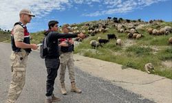 Batman'da Jandarma, Kurban Bayramı öncesi hırsızlara karşı besicileri uyardı
