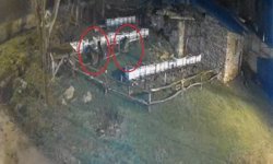 Bayburt'ta iki farklı arılığı talan eden ayılar köpek havlayınca kaçtı