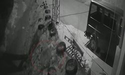 Bayburt'ta köye inen aç ayı kurdun tavşanı kovaladığı noktada yiyecek aradı