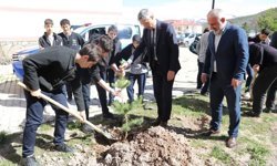 Bayburt'ta öğrenciler fidanları toprakla buluşturdu