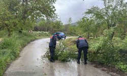 Bilecik'te aşırı yağış ulaşımı da olumsuz etkiliyor