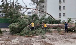 Birecik'te afetin yaraları sarılıyor