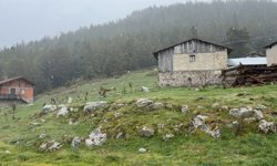 Bolu'da hava sıcaklıkları düştü, yaylalar beyaza büründü