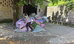 ÇAYKUR sezonun ilk gününde 900 ton çay aldı