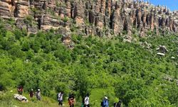 Çermik ilçesi doğa güzelliği ve tarihi ile kapılarını turizme araladı