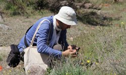 Darende'de flora projesi için ilk saha çalışması tamamlandı