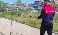 Dernek binasına giren yılanı itfaiye yakalayıp doğaya saldı