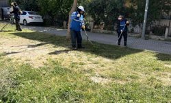 Didim Belediyesi ekipleri ilçe genelindeki çalışmalarını sürdürüyor