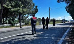 Didim'de kurbanlık denetimi