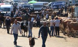 Diyarbakır Canlı Hayvan Borsasında kurbanlık hareketliliği