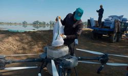 Dron ile çeltik ekimi