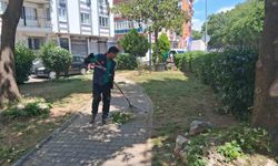 Efeler'de parklar yaza hazırlanıyor