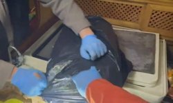 Ege Denizi'ndeki nefes kesen zehir operasyonunda 8 tutuklama