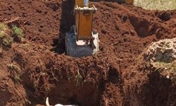 Ekipler seferber oldu, çukura düşen inek kurtarıldı