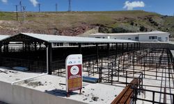 Elazığ'da kurban satış ve kesim alanlarında çalışmalar başladı