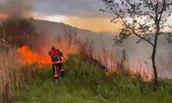 Elazığ'da otluk alanda yangın