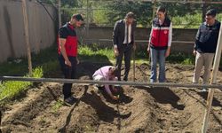 Emet'te minik eller toprakla buluştu