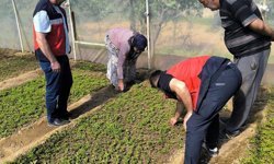 Emet'te seralarda inceleme ve bilgilendirme faaliyetleri