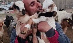Fenomen çobanın oğlak sevgisi yürekleri ısıttı