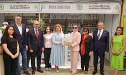 GastroFest'e damgasını vuran Ayvalık Kooperatifi'ne ilgi sürüyor