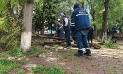 Gaziantep'te fırtına sonrası yaralar sarılıyor
