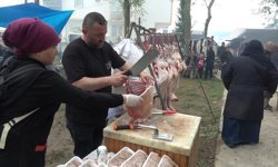 Geyikkoşan'da er meydanı nefes kesti: Şampiyon Mustafa Taş