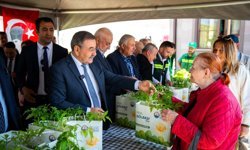 Gölbaşı'nda vatandaşlara 190 bin ata tohumu fidesi dağıtıldı