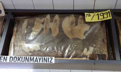 Görenler dönüp bir daha bakıyor, 35 yıllık bal çerçeveleri dikkat çekiyor