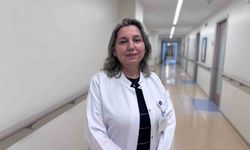 Hantavirüste gıda hijyeni