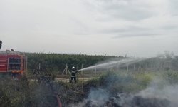 Hassa'da zeytinlik yangını