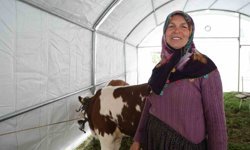 Hayriye Teyze'nin yüzü devlet desteğiyle güldü