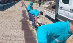 Hayvan pazarında bayram mesaisi başladı
