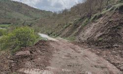 Heyelandan dolayı kapanan tabiat parkı yolu ulaşıma açıldı