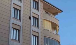 Iğdır'da kargaların saldırısına uğrayan saz delicesi kameraya yansıdı