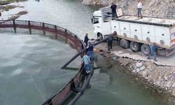 İhraç edilecek 'Türk somonları' için yavru balıklar suya bırakıldı