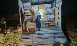 Karadeniz'in gezgin arıcıları yeni sezon için Doğu Anadolu'nun dağlarını mesken tuttu